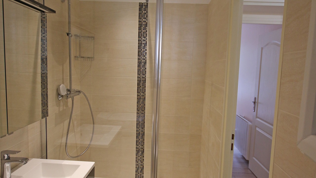 Photo of Bathroom in Vernier