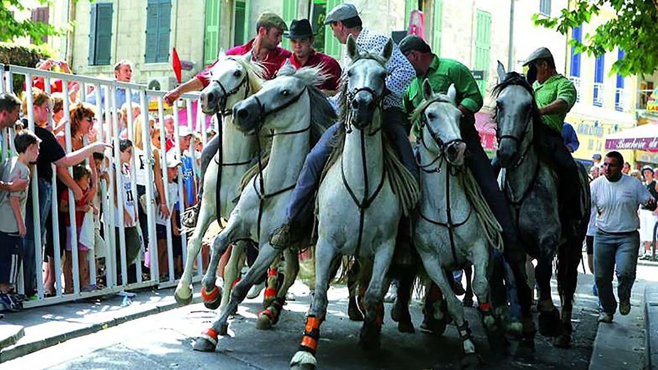 Photo of Others in Istres