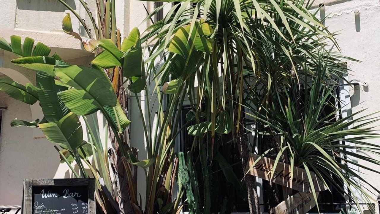 Photo of Outdoor in Cap-d'Antibes