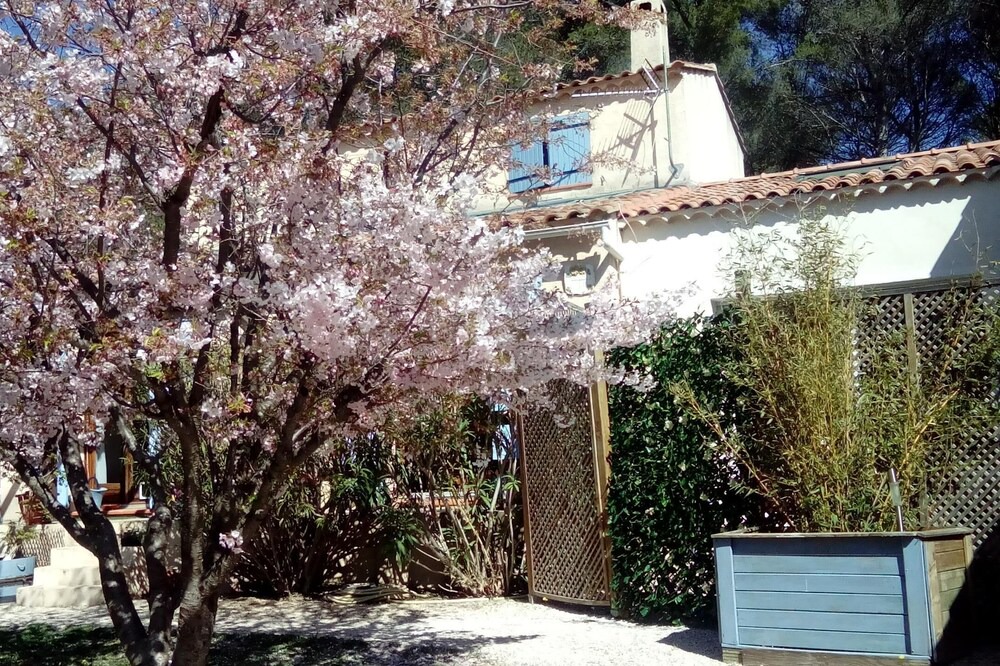 Photo of Outdoor in Rousset