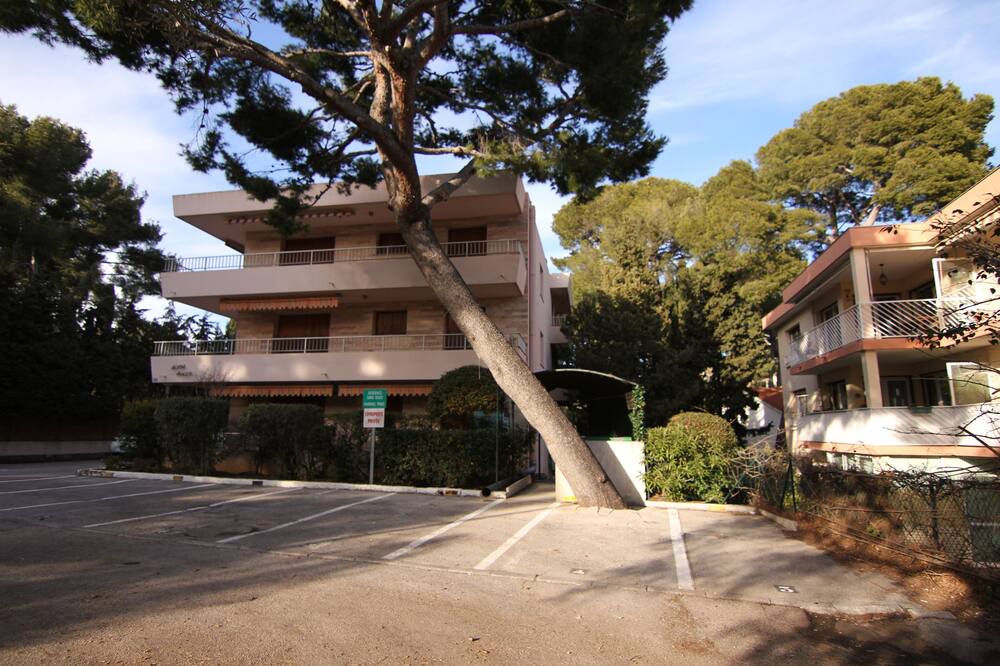Photo of Outdoor in Sanary-sur-Mer