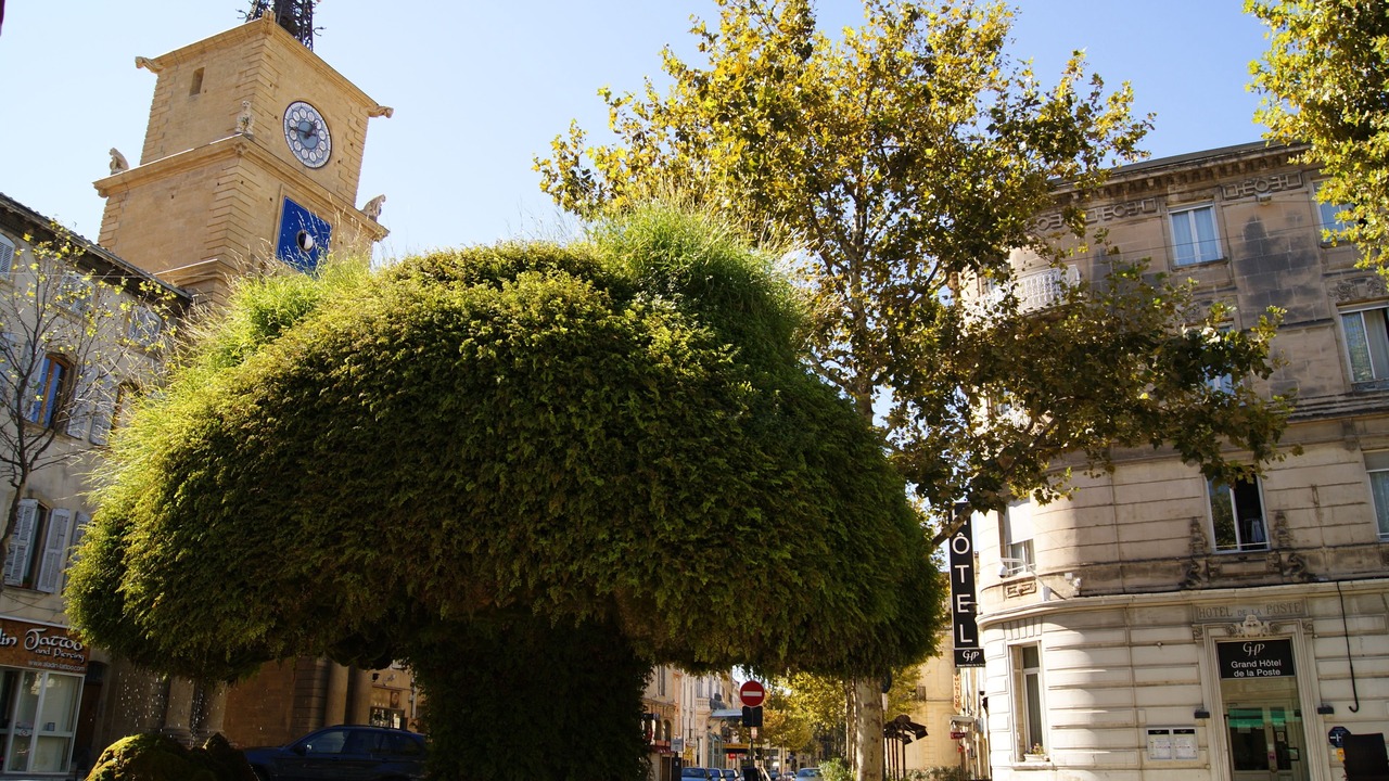 Photo of Outdoor in Salon-de-Provence