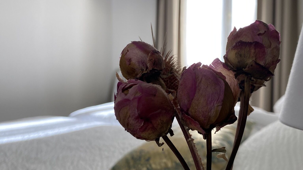 Photo of Bedroom in Salon-de-Provence