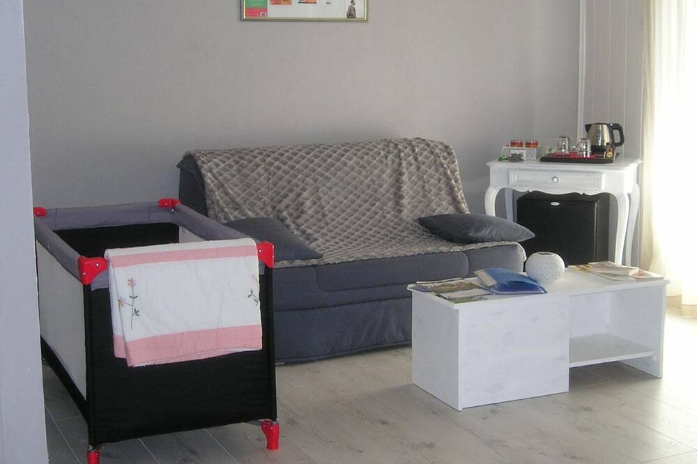 Photo of Livingroom in Lus-la-Croix-Haute