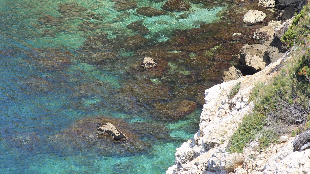 Photo of Others in Sanary-sur-Mer