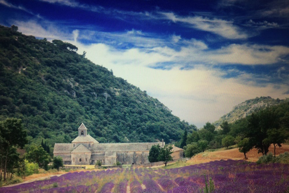 Photo of Outdoor in Taillades