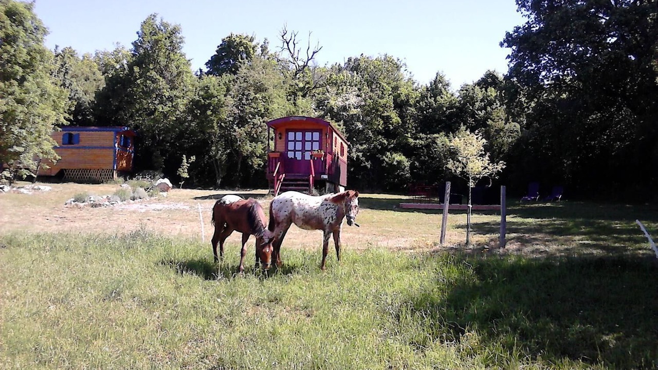 Photo of Outdoor in Blandas