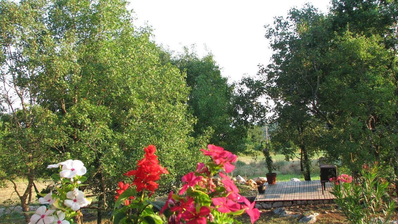 Photo of Outdoor in Blandas