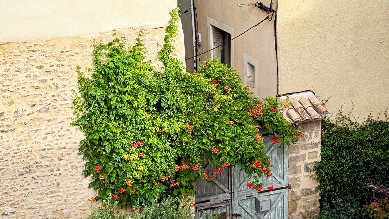Photo of Outdoor in L'Isle-sur-la-Sorgue