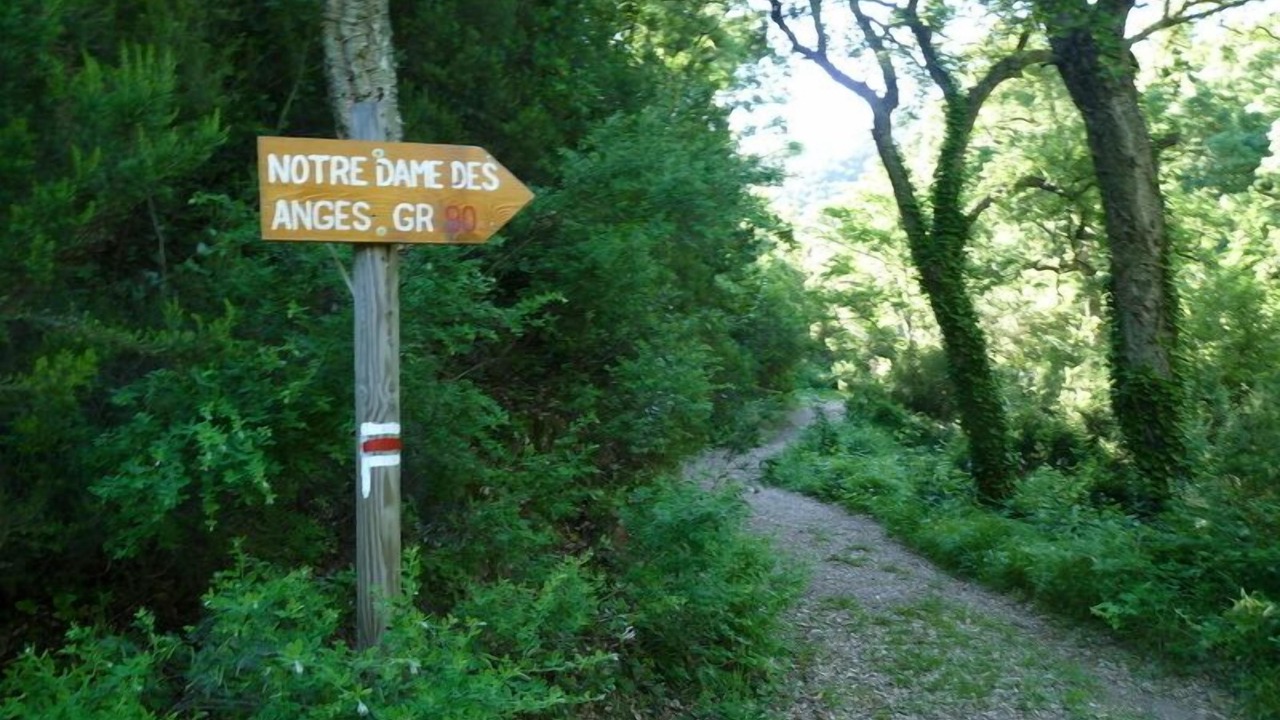 Photo of Outdoor in Collobrieres