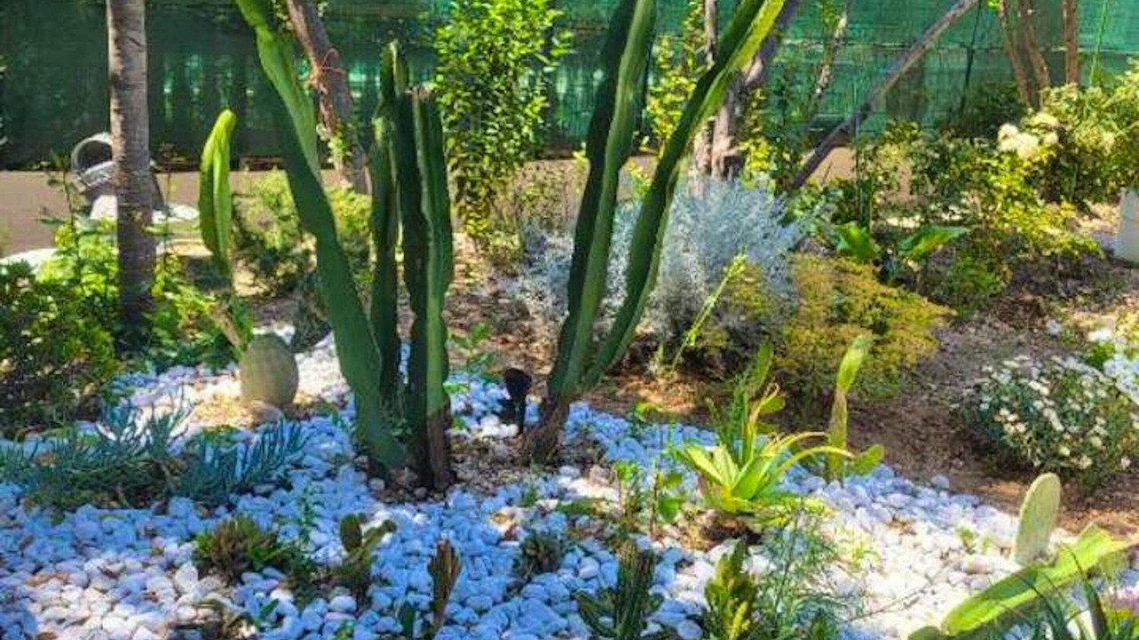 Photo of Outdoor in California - Pezou