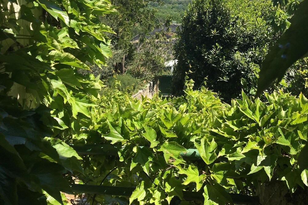 Photo of Others in Villeneuve-les-Avignon