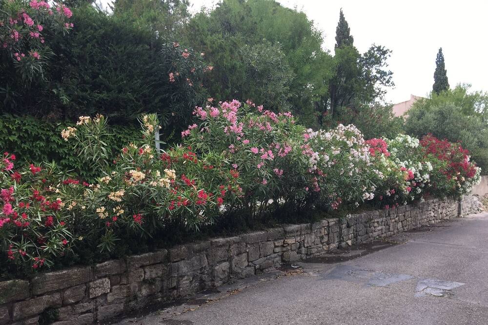 Photo of Others in Villeneuve-les-Avignon