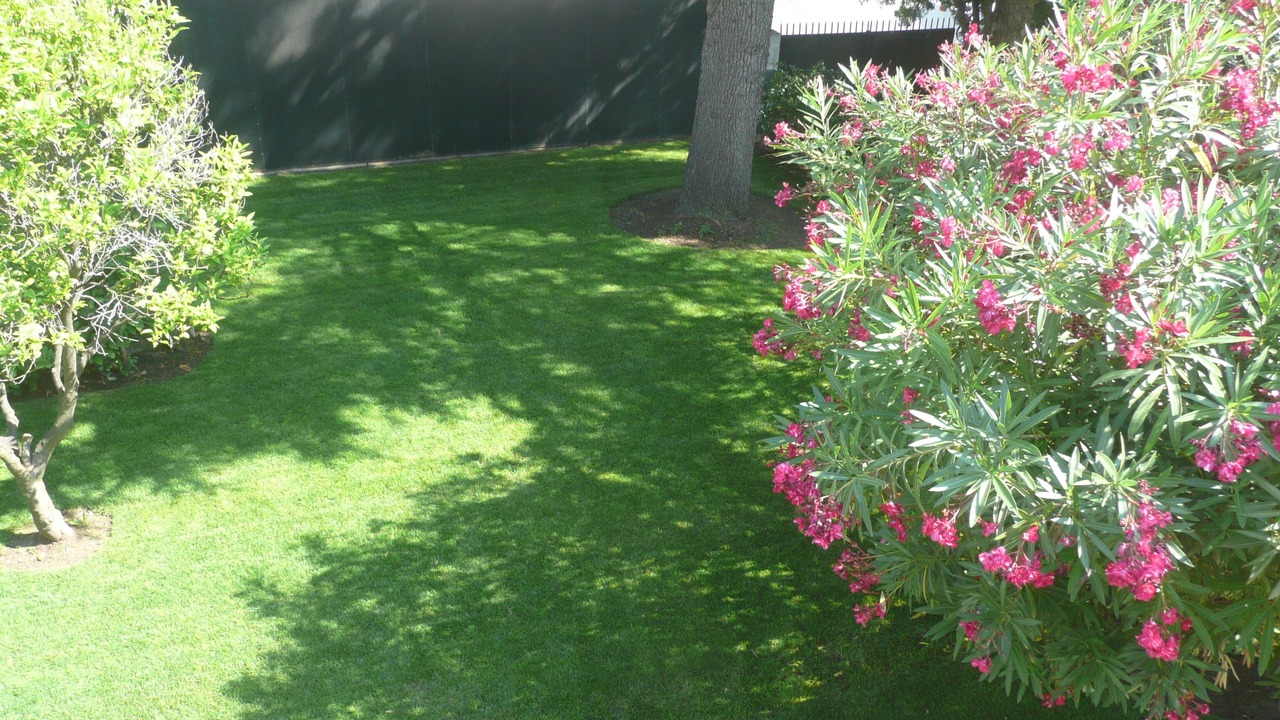 Photo of Outdoor in Le Cannet
