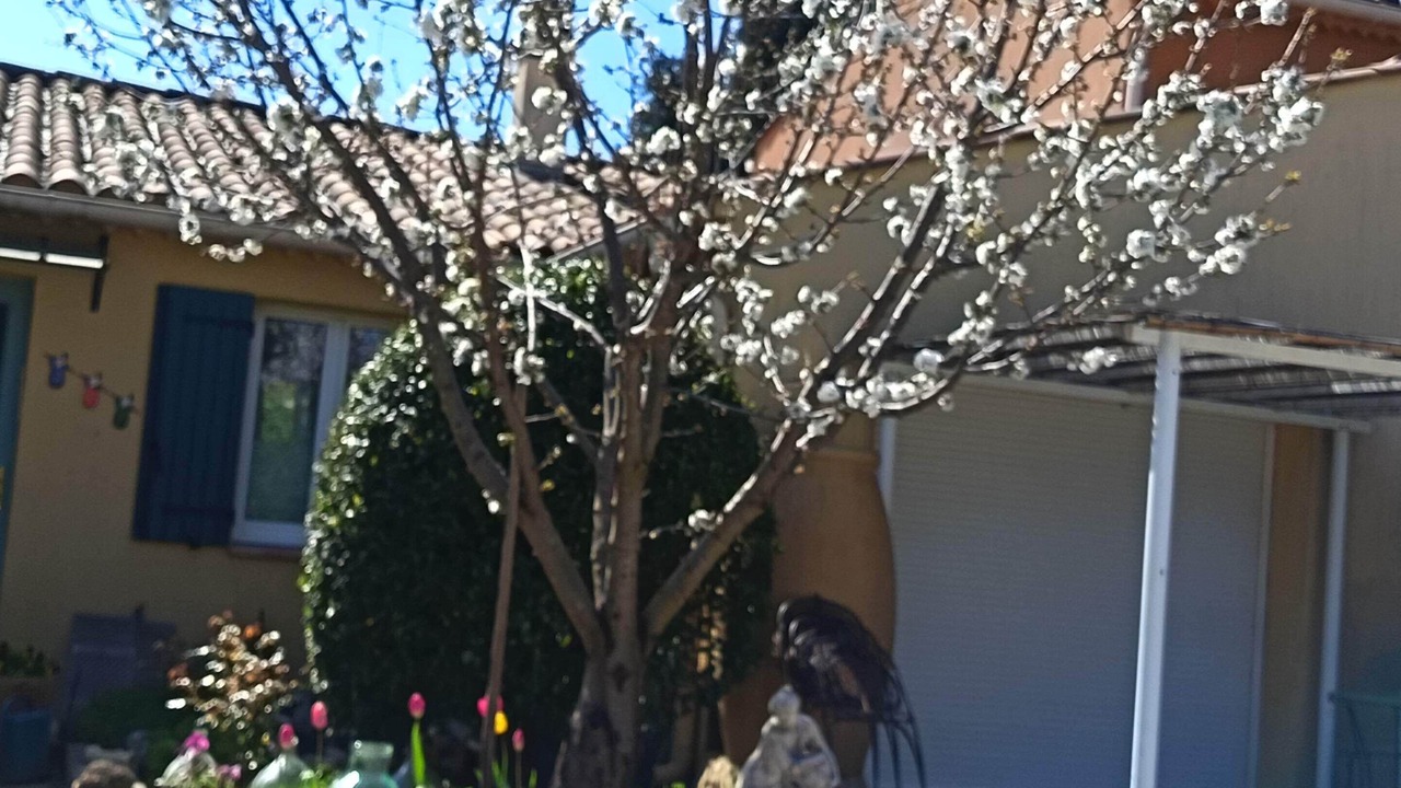 Photo of Outdoor in Vaison-la-Romaine