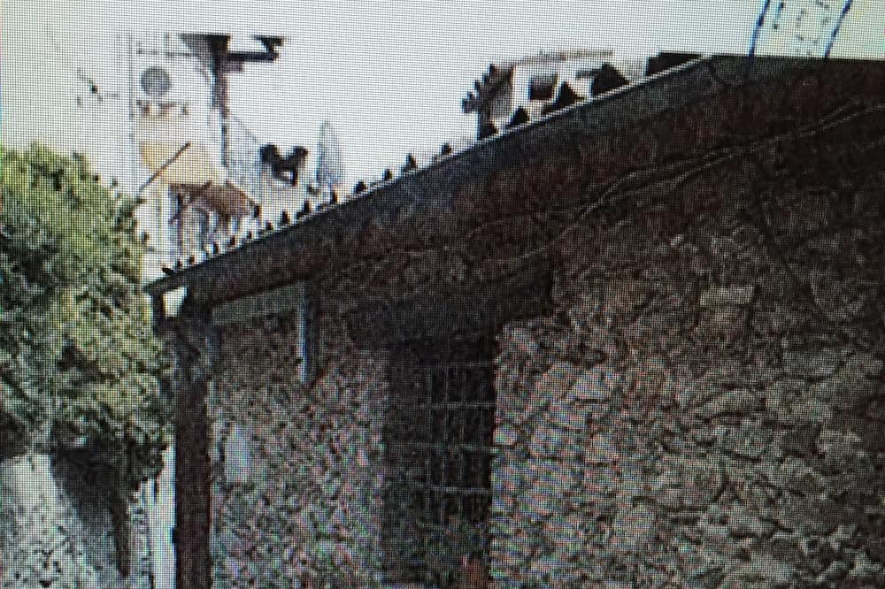 Photo of Outdoor in Grimaud