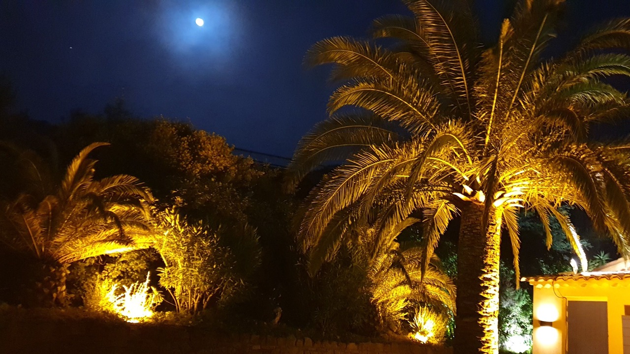 Photo of Outdoor in Theoule-Superieur