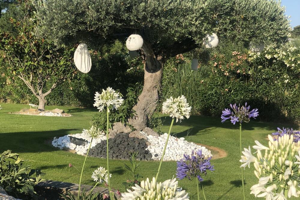 Photo of Outdoor in Chateaurenard