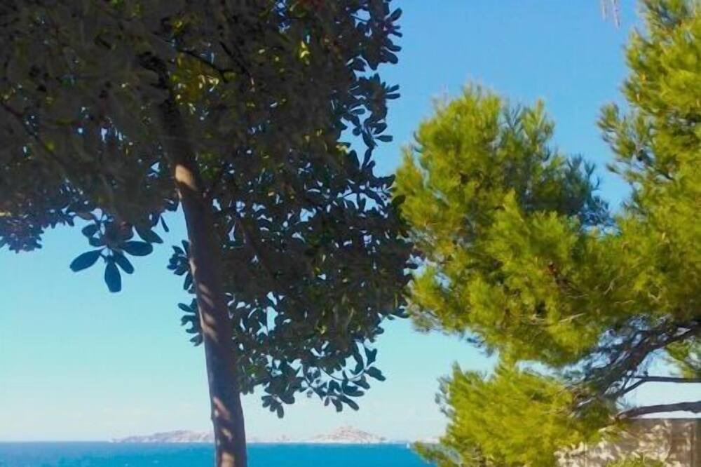 Photo of Others in Roucas-Blanc