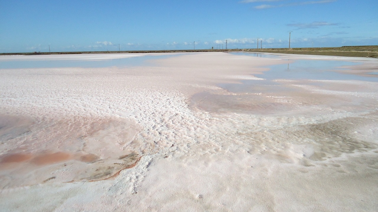 Photo of Outdoor in Salin-de-Giraud