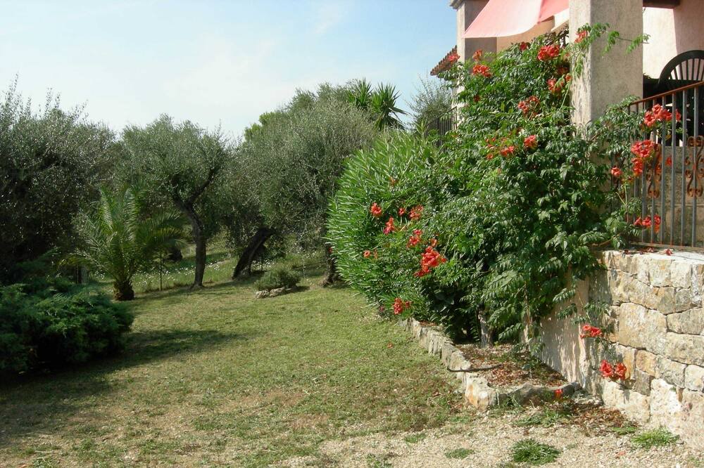 Photo of Outdoor in Le Tignet