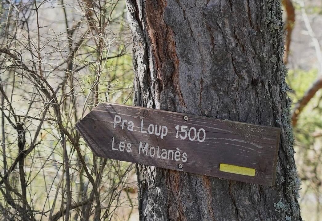 Photo of Outdoor in Pra Loup