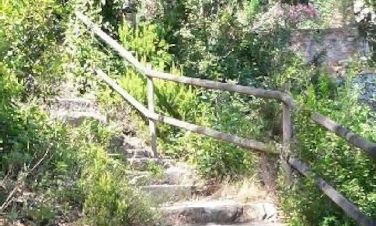 Photo of Outdoor in Theoule-Superieur