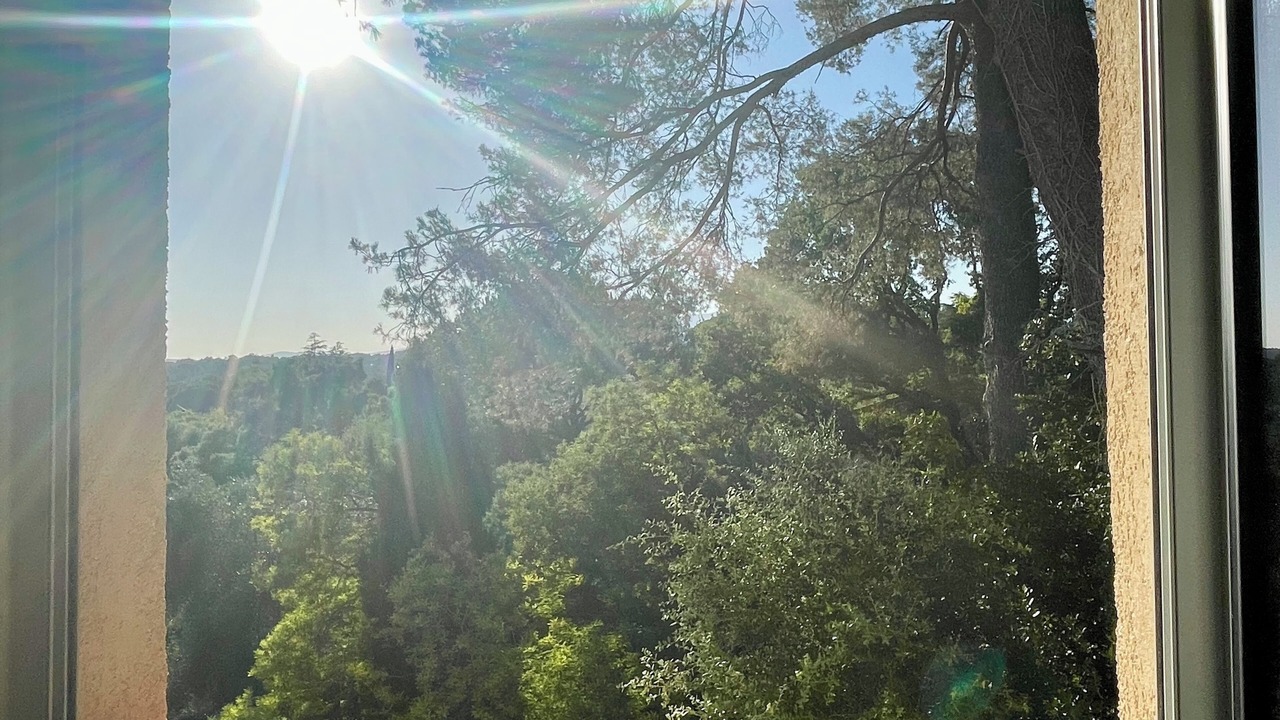 Photo of Others in Biot