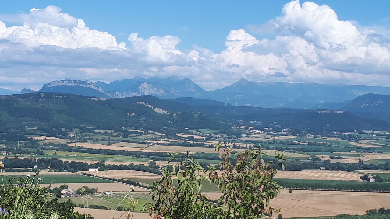 Photo of Others in Roynac