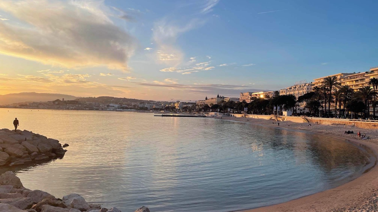 Photo of Others in Cannes City Centre