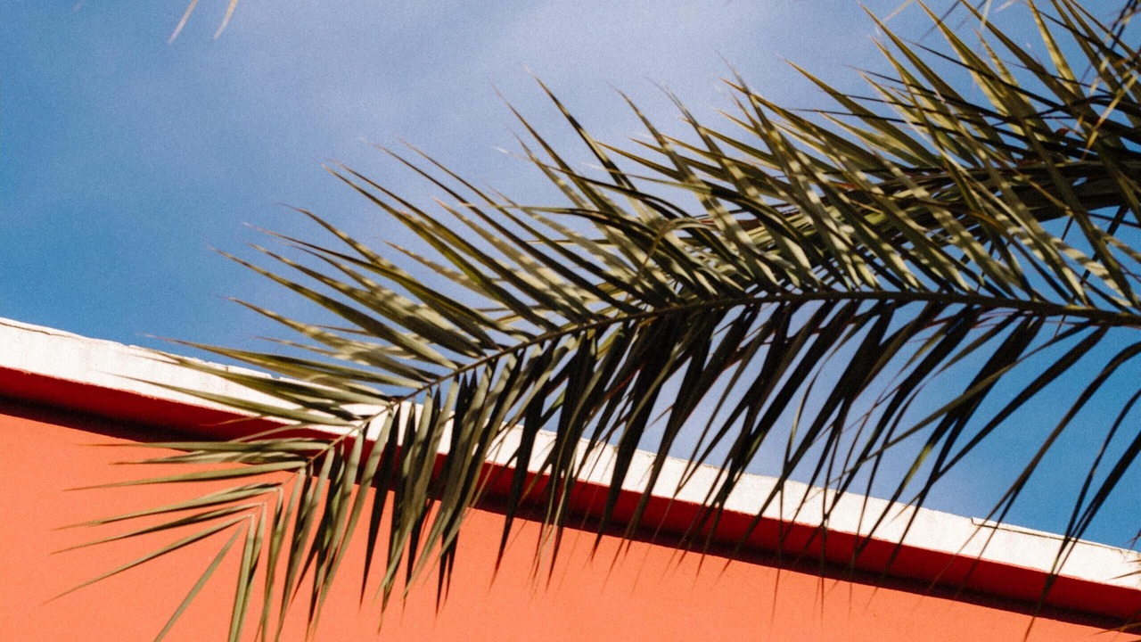 Photo of Outdoor in Carre d'Or