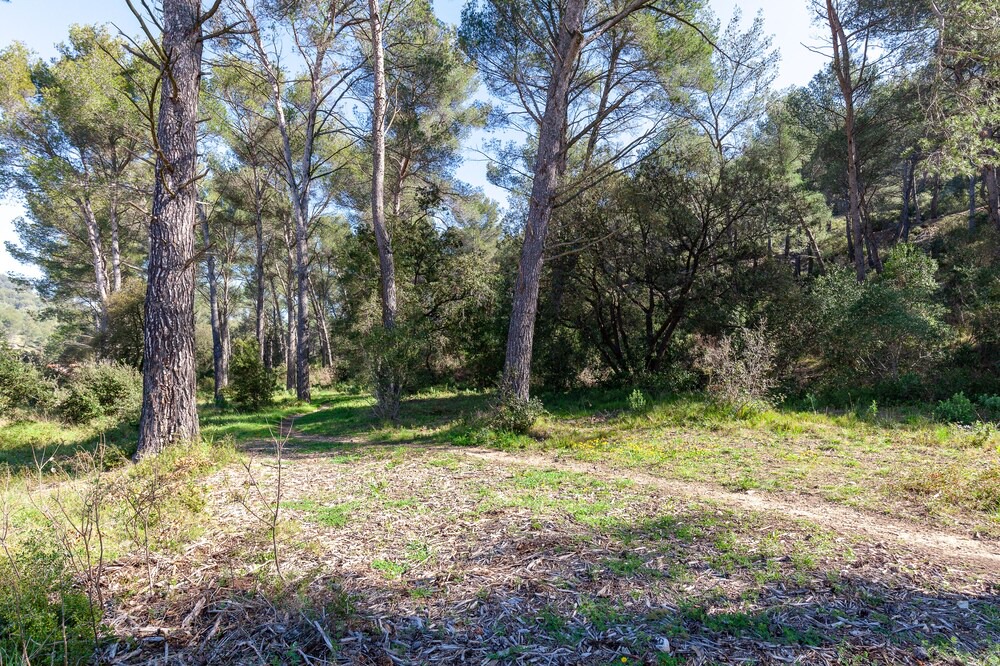 Photo of Outdoor in Carnoux-en-Provence