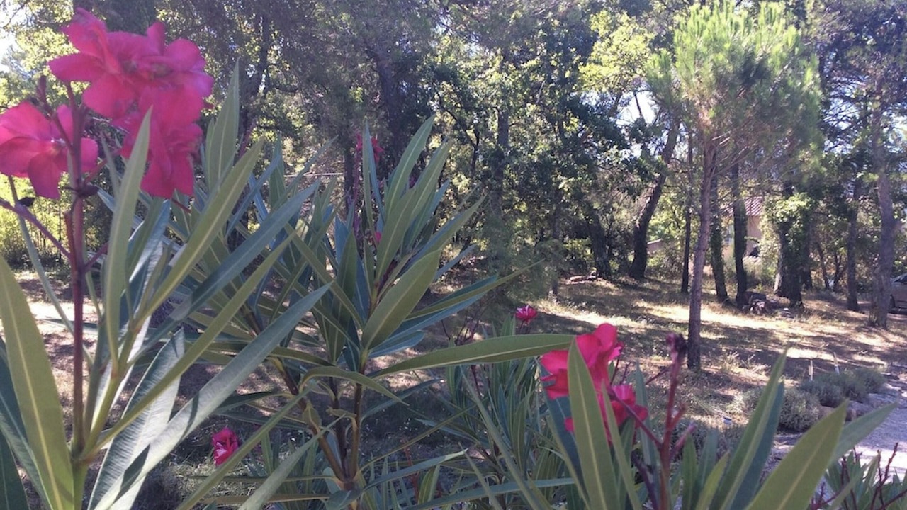 Photo of Outdoor in Menerbes