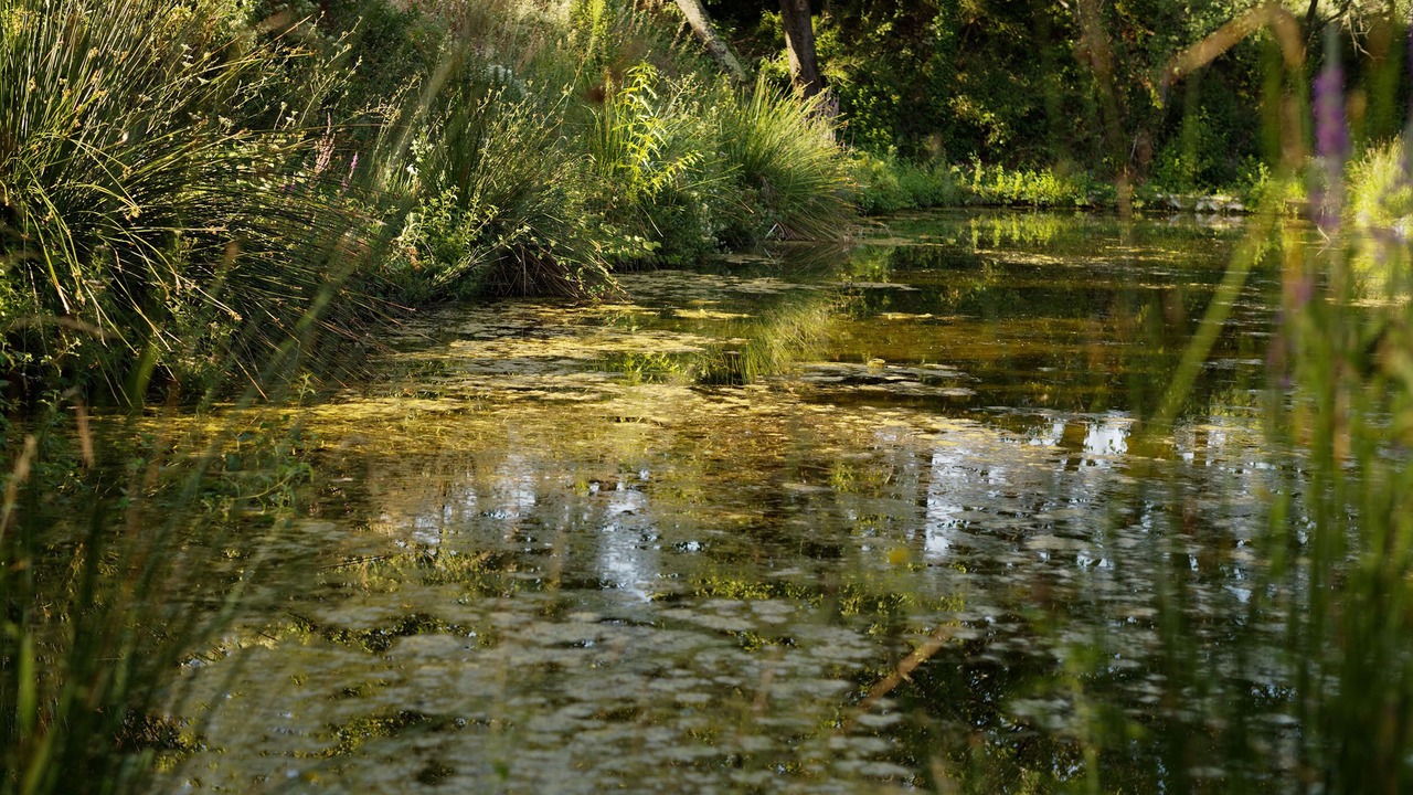 Photo of Outdoor in Lourmarin
