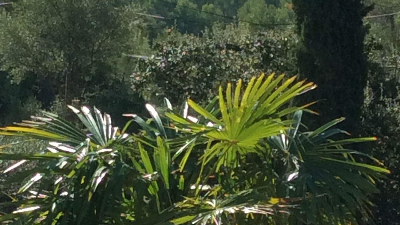 Photo of Outdoor in La Ciotat