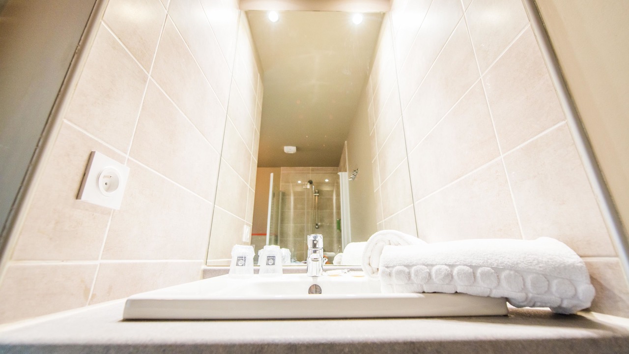 Photo of Bathroom in Saint-Martin-d'Heres