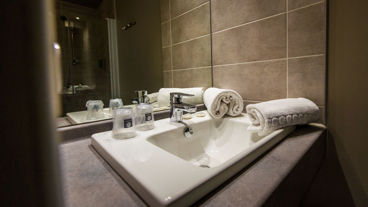 Photo of Bathroom in Saint-Martin-d'Heres