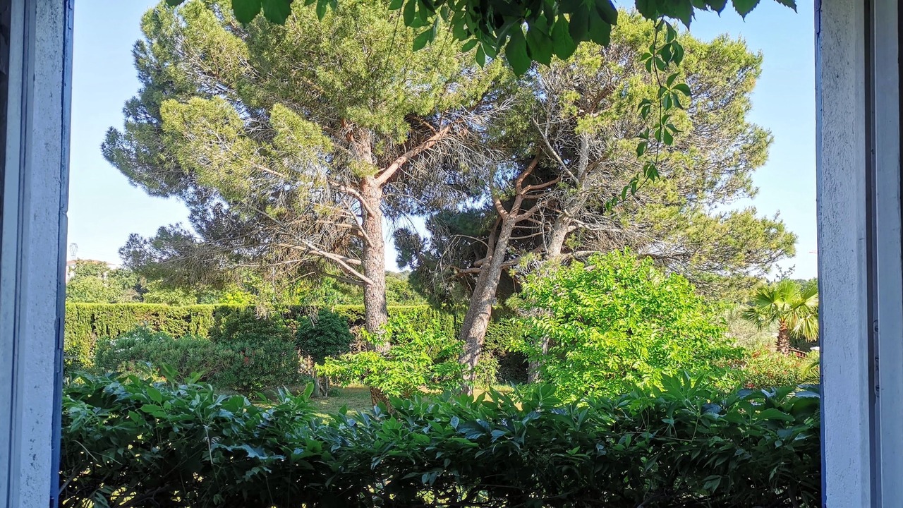 Photo of Others in Castelnau-le-Lez