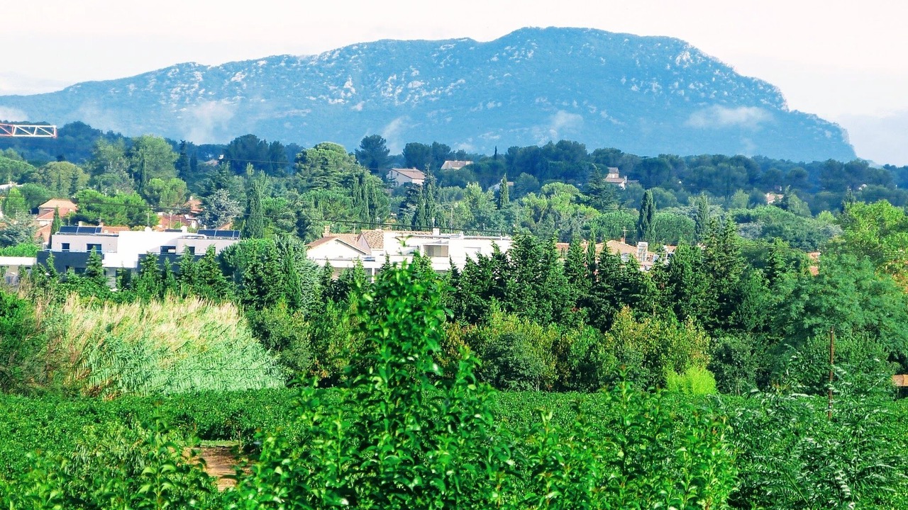 Photo of Outdoor in Castelnau-le-Lez