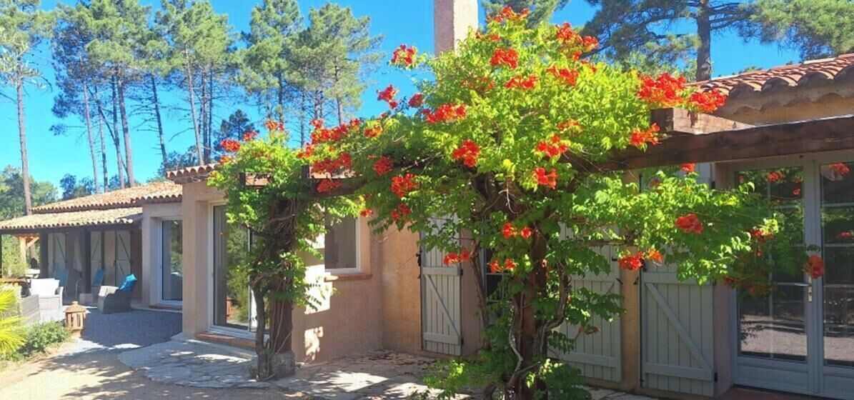 Photo of Outdoor in Le Muy