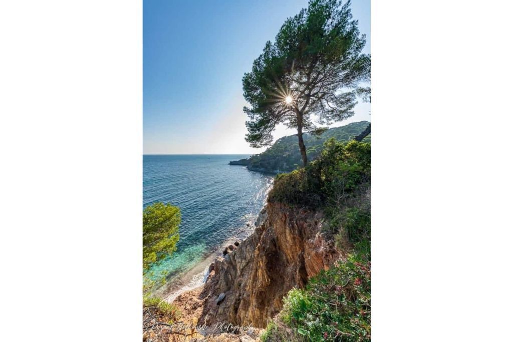 Photo of Others in Giens