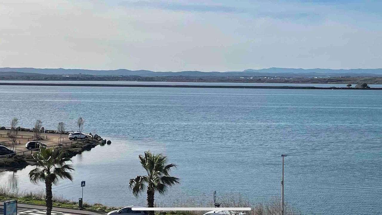 Photo of Outdoor in Palavas-les-Flots
