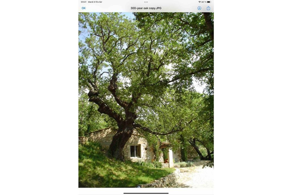 Photo of Outdoor in Menerbes