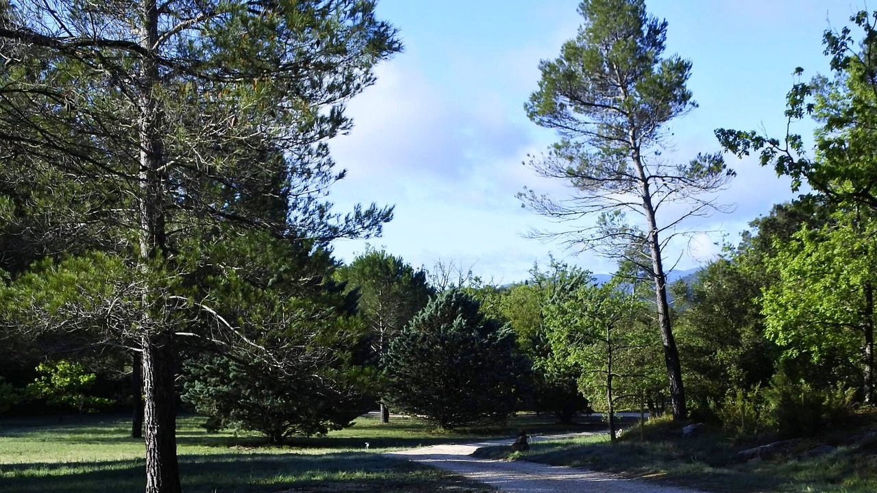 Photo of Others in La Roquebrussanne