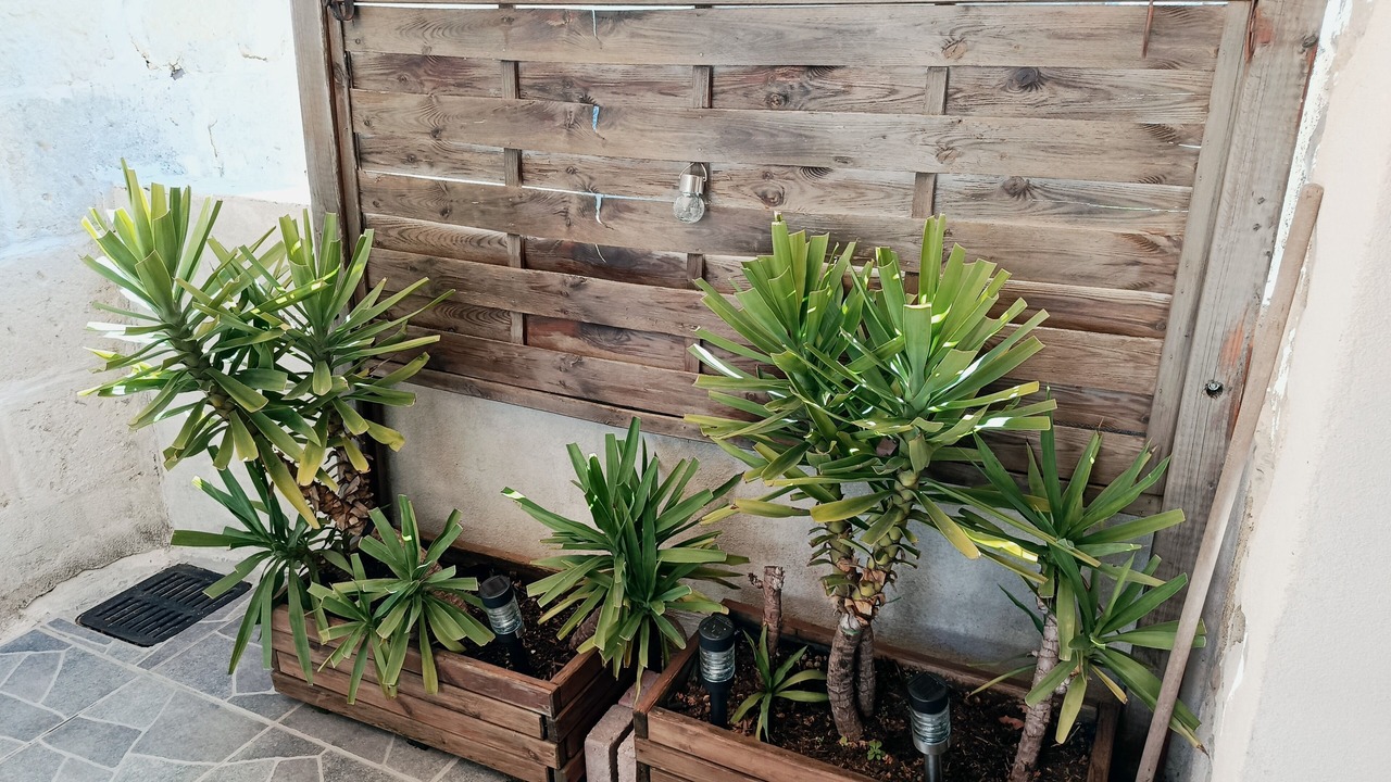 Photo of Outdoor in Marsillargues