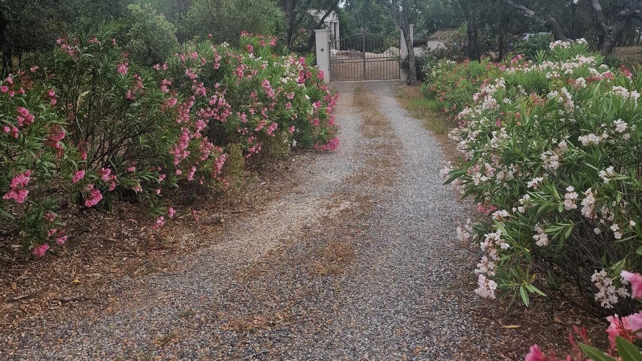 Photo of Outdoor in Sainte-Maxime