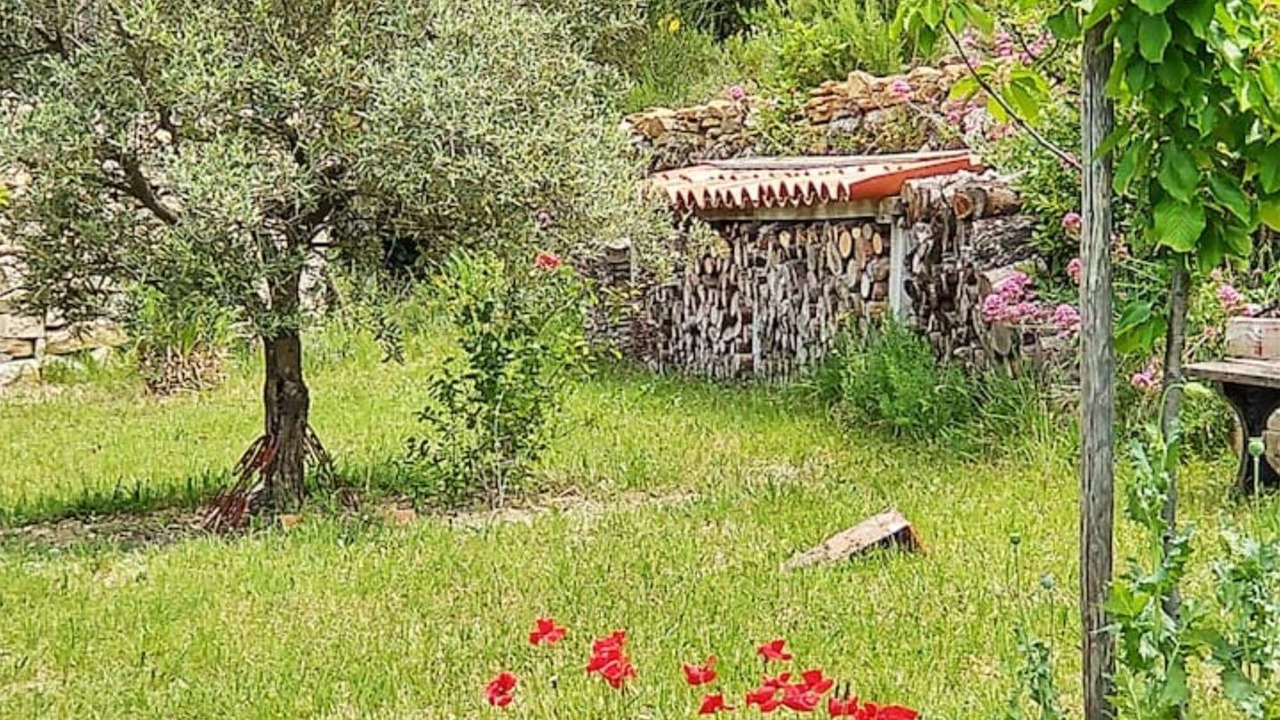 Photo of Outdoor in Le Beausset