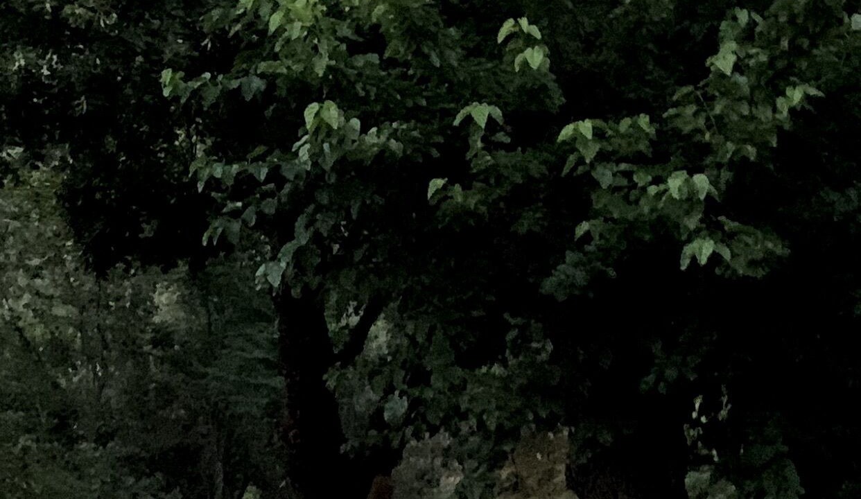 Photo of Outdoor in 7th Arrondissement