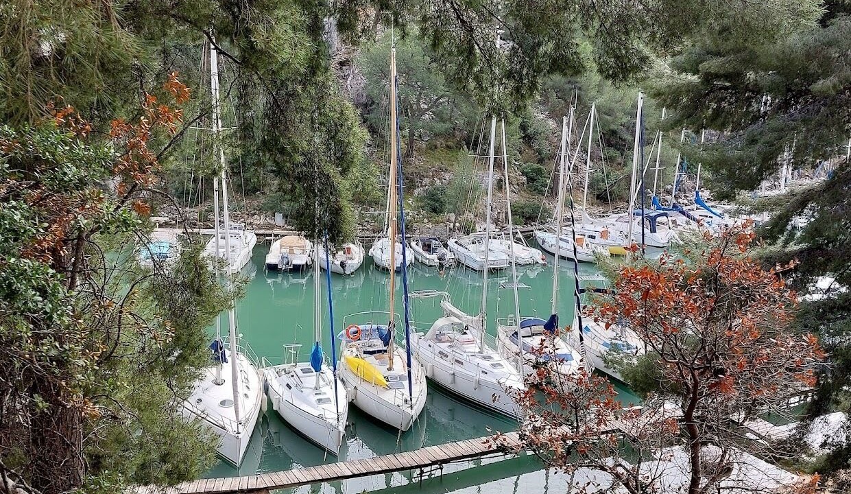 Photo of Others in Le Pharo