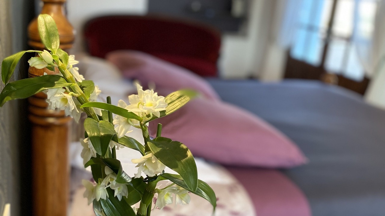 Photo of Bedroom in Saint Didier de la Tour